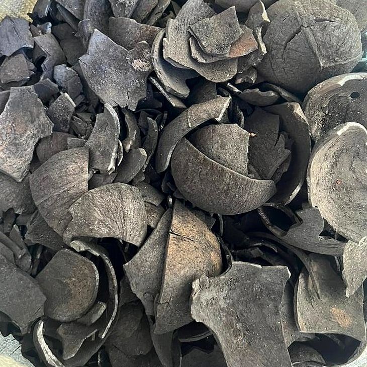 Close view of carbonized coconut shell, the curved shell profile and clean black fracture faces clearly visible.