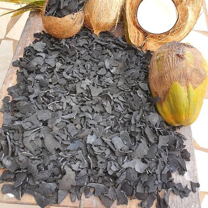 Carbonized coconut shell flakes spread on a bench beside whole coconuts and palm fronds.