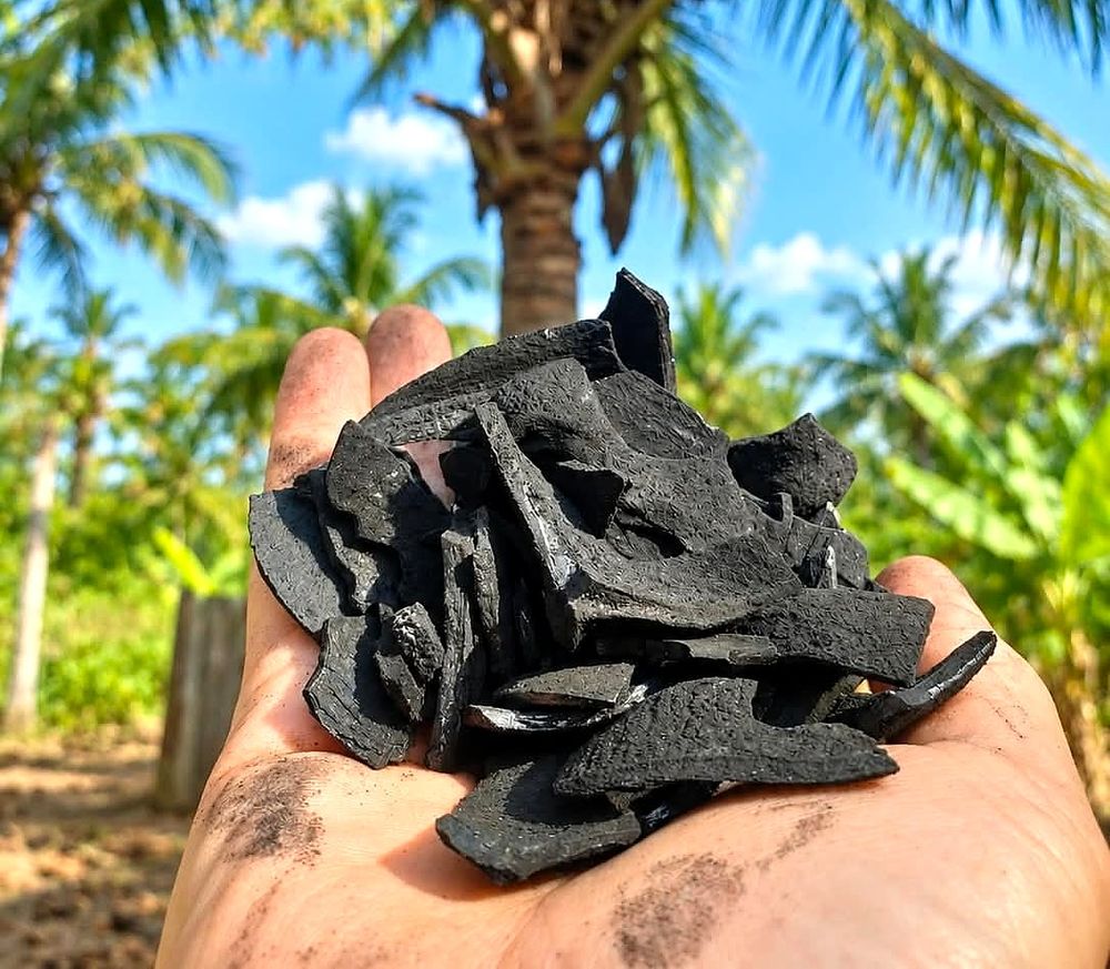 A hand holding a pile of carbonized coconut shell flakes, with coconut palms and open sky behind.