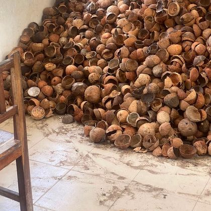 A store room heaped with dried coconut shells waiting to be carbonized.